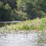 La Loire active